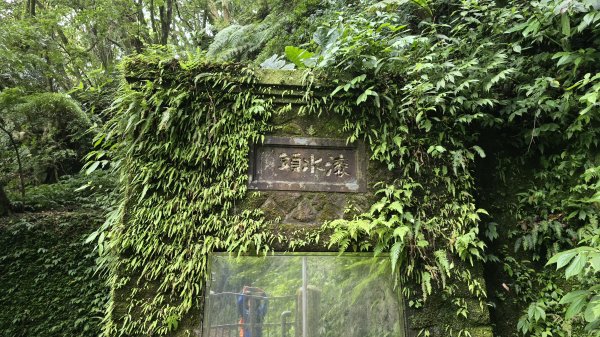 開箱猴崁古道，陽明山秘境，全新完工草山觀瀑吊橋2766373