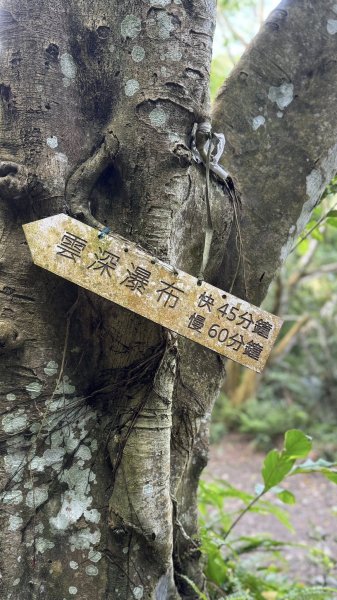 20250629三峽雲森瀑布2837788