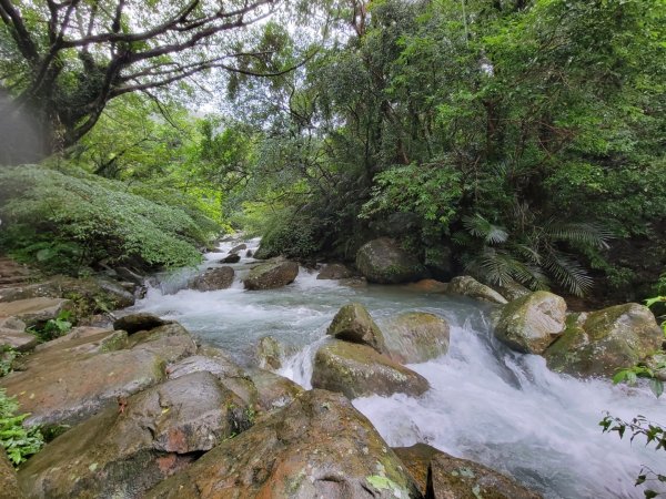 桃源谷，草嶺古道縱走1902848
