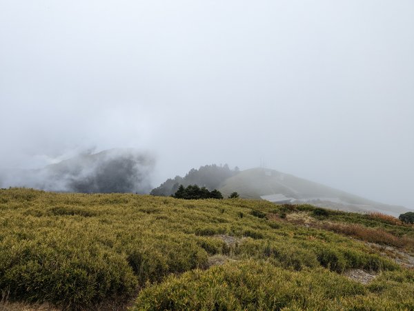 合歡群峰(主峰、東峰、石門山)：雲霧飄渺的美景、夢幻如畫的雲海大景、金色奇萊北峰、彩虹、滿月夜色1906598