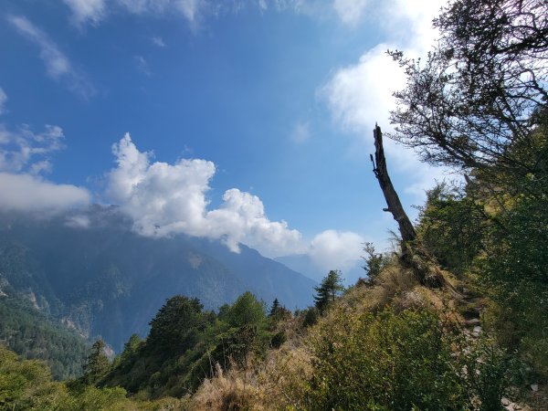 20260315-玉山前峰3018713