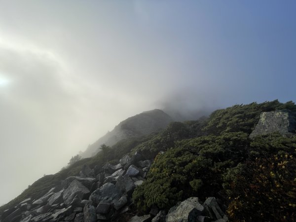 一日小O聖 2024 11/222865484