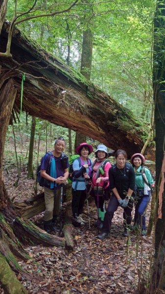 觀雪縱走~大園登山協會2828659
