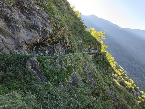 [玉山尋寶任務-07/12] 2025_0824 八通關雲龍瀑布步道2870576