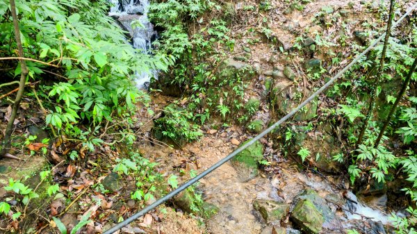 蛇子形古道。美廠產能完售2784746