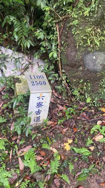 20250705-Ep.03六寮古道-2025森遊竹縣皮皮獅探險隊2851462