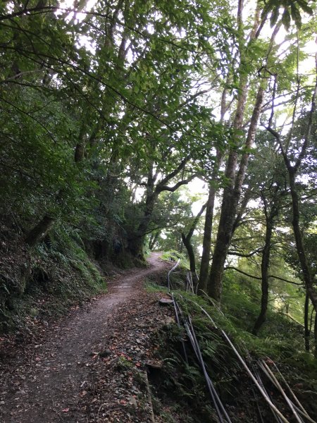 20161109-10_奇萊南華873689