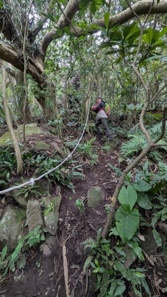 113.12.28小鷹尖-關山嶺-五八山-凌雲尖-龍女岩之旅2679368