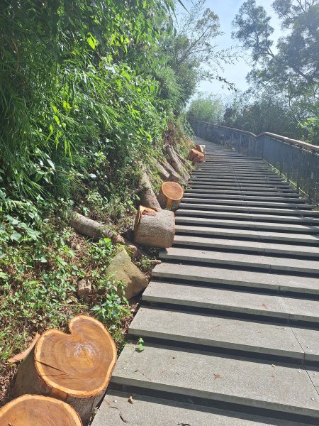檳榔四格山步道11508083115858