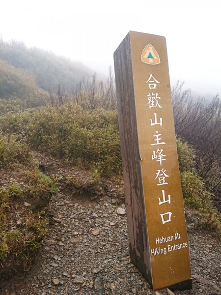 合歡山主峰579292