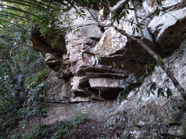 ▲鵝公髻山西南南峰,鵝公髻山西南峰,鵝公髻山,鳥嘴山1539964