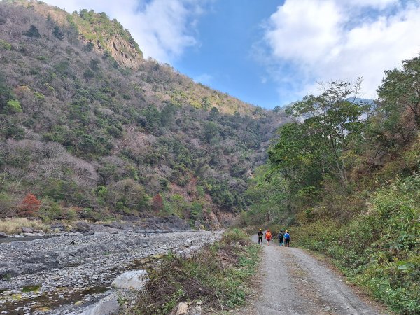 北港溪峽谷202602092995642