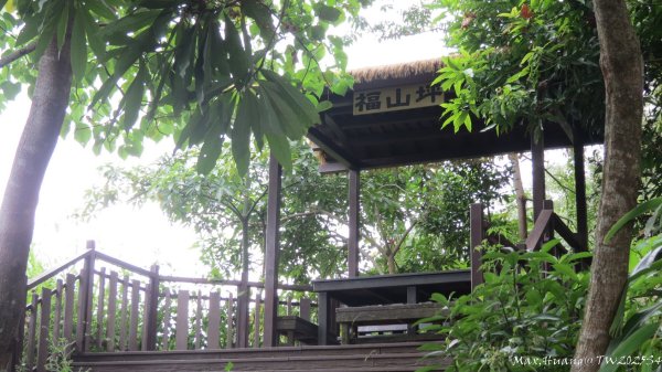 《台中》觀九九峰｜霧峰青桐林生態步道群20251109封面