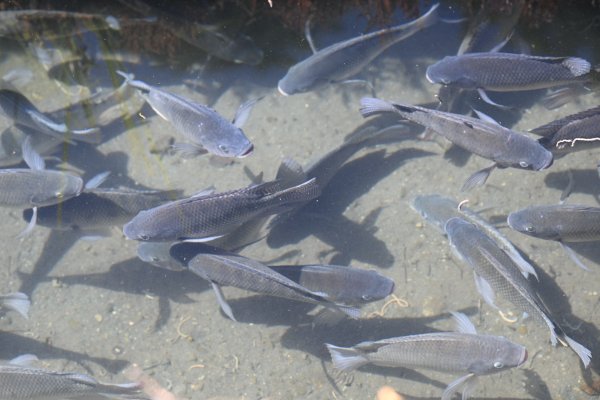 2025_0628 溪瀧步道2824975