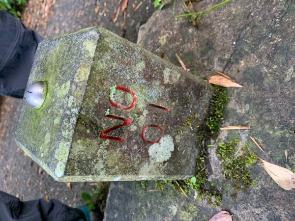 大凍山（小百岳）1117288