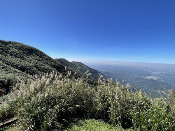 雲嘉七連峰2663065