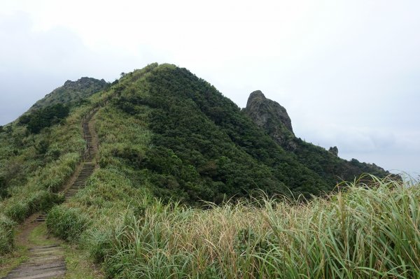 無耳茶壺山→半屏山→黃金神社425465