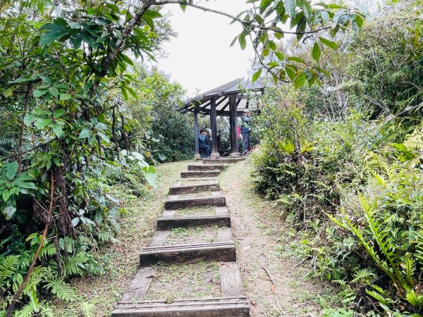 1150124帽子山。25落山風藝術季。2987167