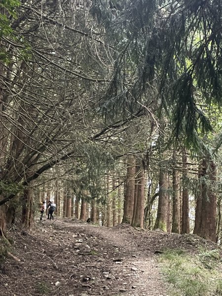 石山秀湖 2025 02/28 三天兩夜2865957