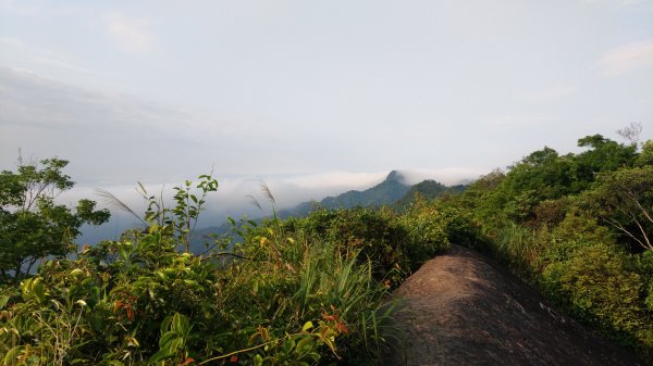 桃園大溪-草嶺山-石厝坑山-白石山