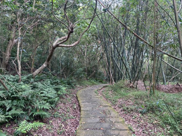 臺北大縱走第五段：捷運劍潭站至碧山巖2751307