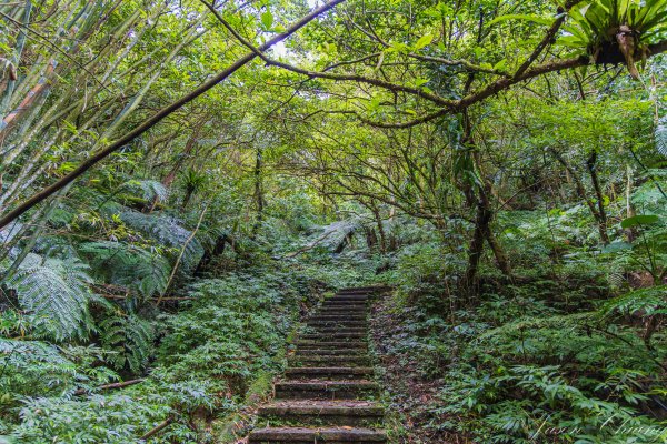 [新北]土庫岳更寮古道2575838