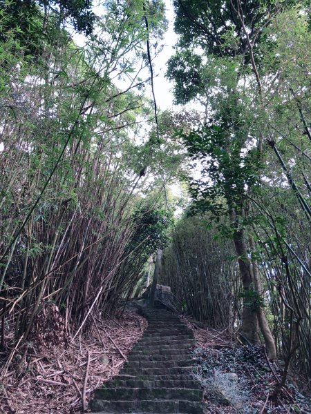 ~ 中 正 山 步 道 ~2782705