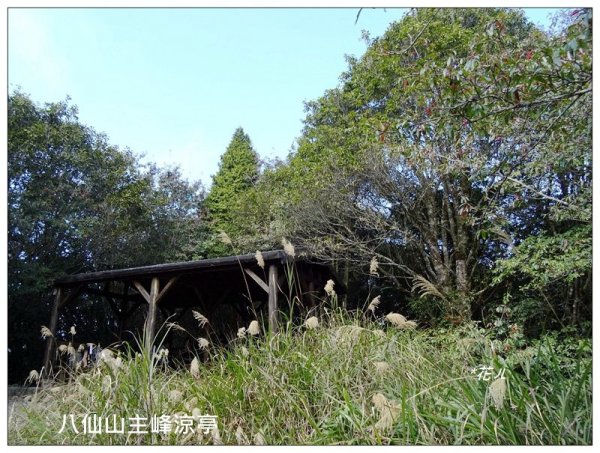 南松鶴山～八仙山 (台中 和平)2926089