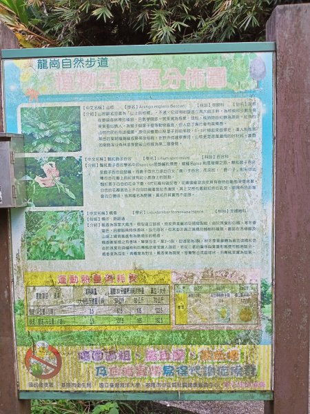 【小百岳集起來】#4 槓子寮山步道、砲台1129443