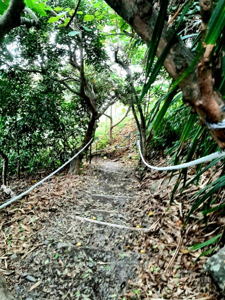 琅嶠卑南古道2700536