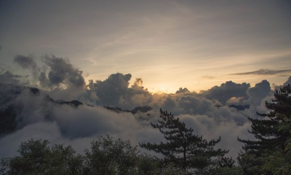 特富野古道、鹿林神木、塔塔加雲海154476