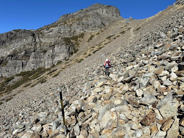 大眾運輸登 雪山西稜 (中雪山未竟) 2025/12/3~92970025