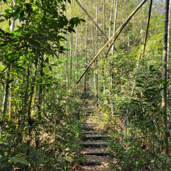 集集大山、車埕步道（小百岳）1628781