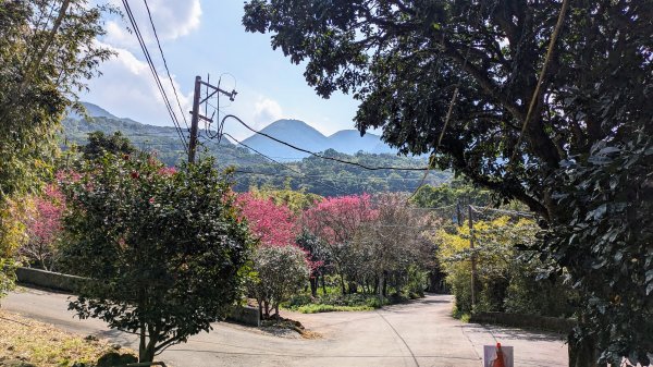 天元宮,楓樹湖,北新庄,淡水老街2430321