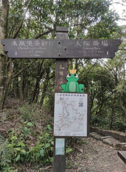 1140404大崙頭山親山步道3100030
