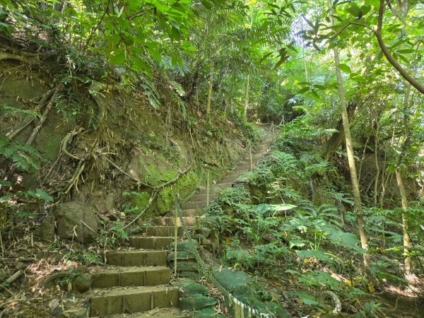 蘭潭後山步道、紅毛埤山（小百岳）2606392