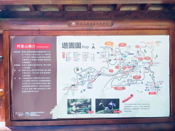 20251209 阿里山-小笠原觀景平台、祝山觀日步道2959806