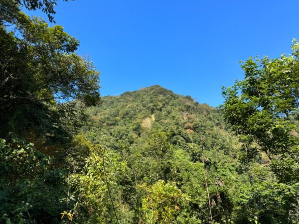 高雄市甲仙區、台南市南化區交界小百岳NO.66西阿里關山(3-5020)，由東側登山口入2359996