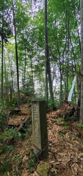 2023-11-25溪頭鳳凰山步道2361004