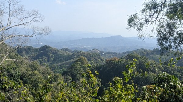 聚興山、新田山步道1641386