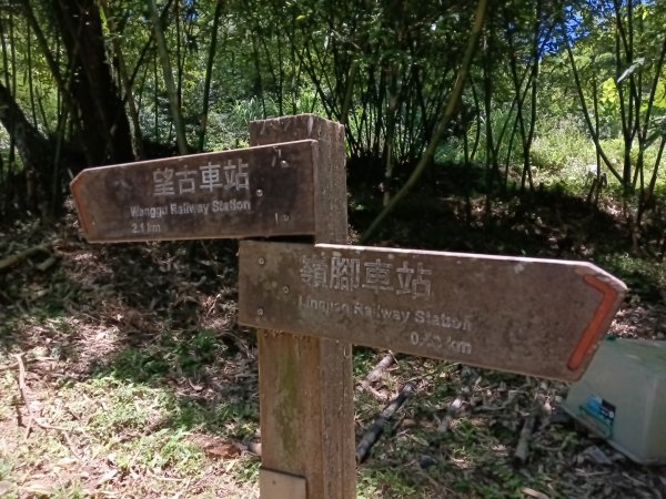 平溪區嶺腳步道+望古坑保甲路+嶺腳寮山+望古賞瀑步道(瀑布)+望古坑古道2825916