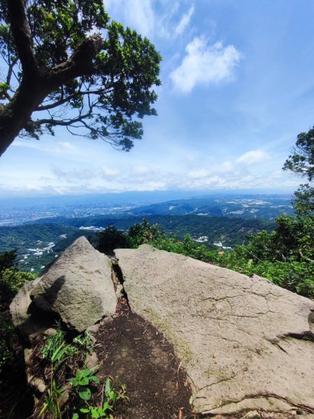 觀音山小鷹尖2818050