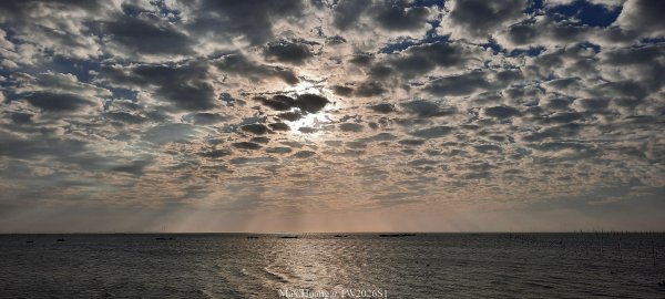 《彰化》海空夕照｜王功燈塔及芳苑海空步道健行賞冬候鳥202601102980264