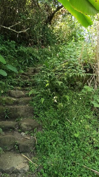 20251004 馬那邦山 - 珠湖 登山口2904886