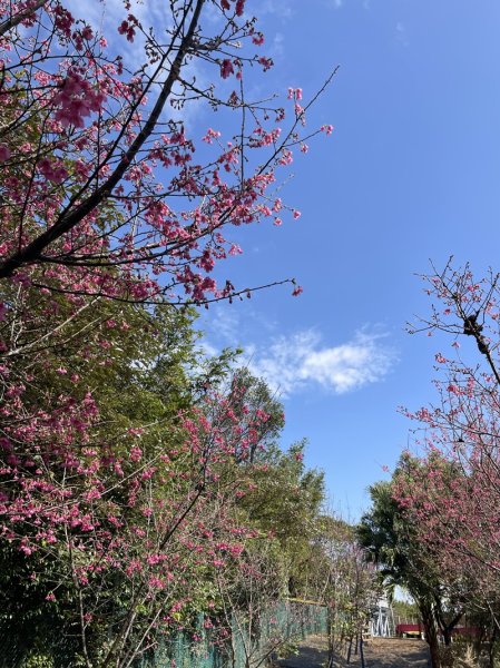 鳳鳴越嶺山佳2708073