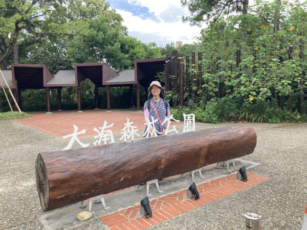 大湳森林公園裡，不但有兒童玩具圖書館、八塊厝民俗藝術村