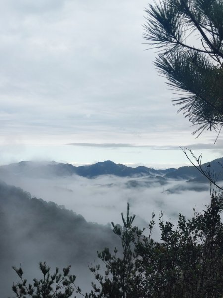 谷關老八阿冷山2699798