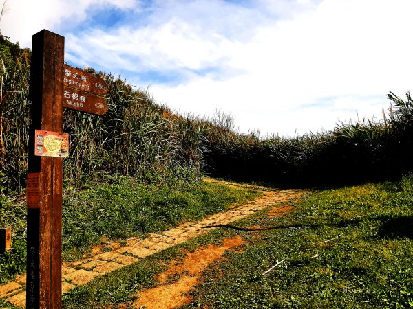 臺北大縱走3｜山行找回忙碌日常遺失的幸福感2473603