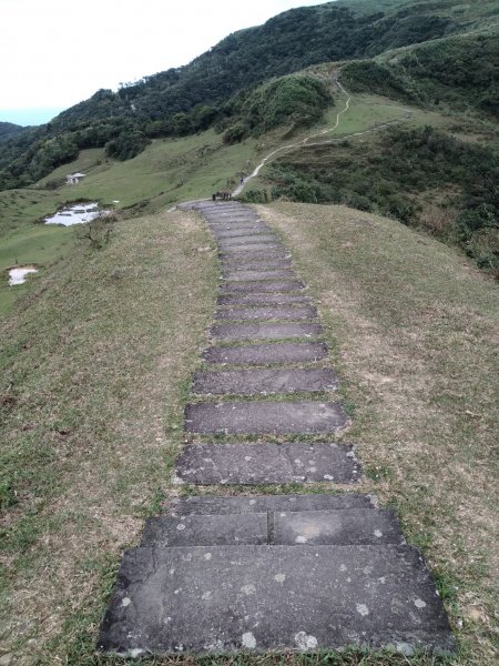 【小百岳82】灣坑頭山(桃源谷)完成1641134