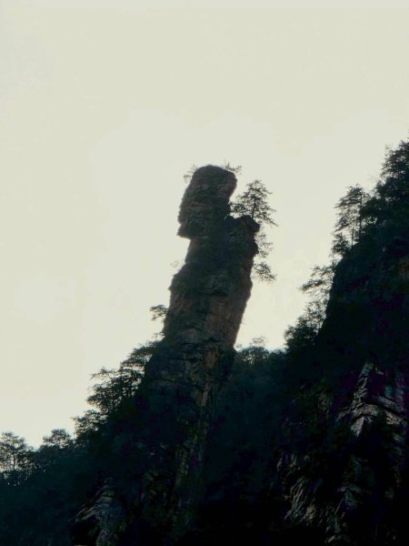 2025/11/8-10張家界園區2939350